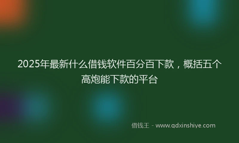 2025年最新什么借钱软件百分百下款，概括五个高炮能下款的平台