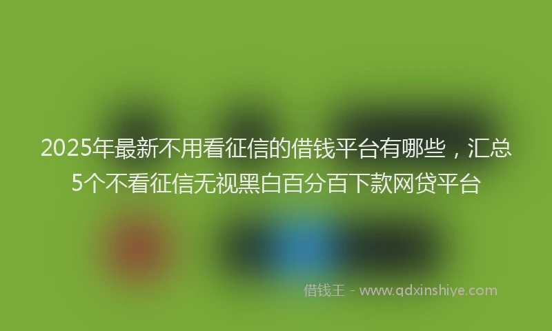 2025年最新不用看征信的借钱平台有哪些，汇总5个不看征信无视黑白百分百下款网贷平台