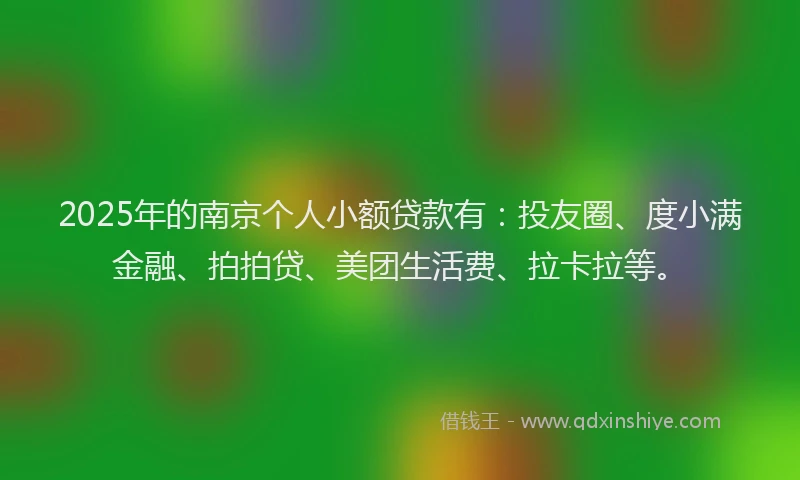 2025年的南京个人小额贷款有：投友圈、度小满金融、拍拍贷、美团生活费、拉卡拉等。