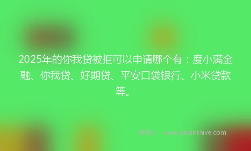 2025年的你我贷被拒可以申请哪个有：度小满金融、你我贷、好期贷、平安口袋银行、小米贷款等。