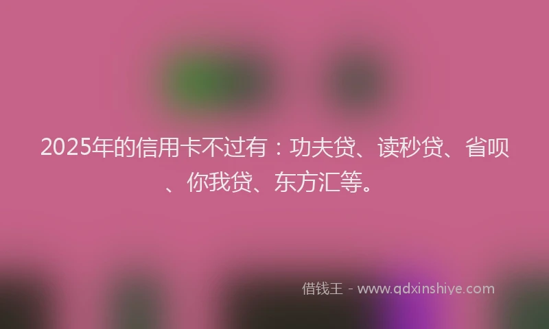 2025年的信用卡不过有：功夫贷、读秒贷、省呗、你我贷、东方汇等。