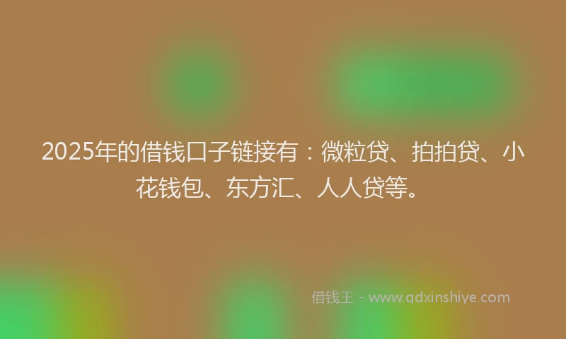 2025年的借钱口子链接有：微粒贷、拍拍贷、小花钱包、东方汇、人人贷等。