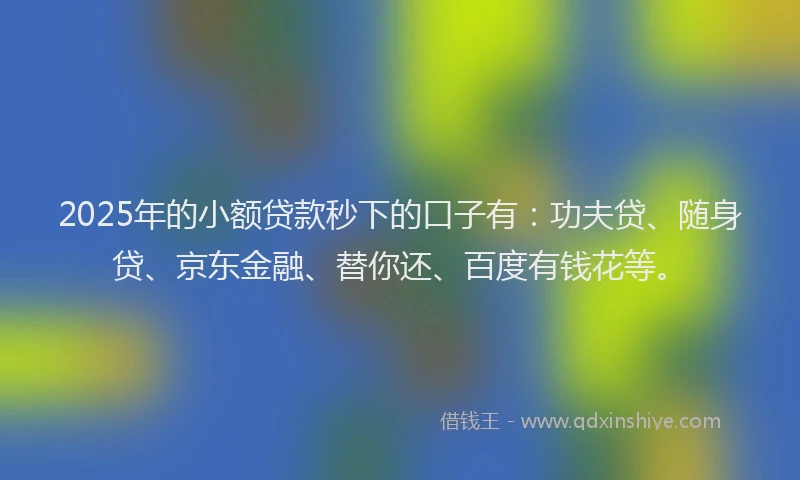 2025年的小额贷款秒下的口子有：功夫贷、随身贷、京东金融、替你还、百度有钱花等。