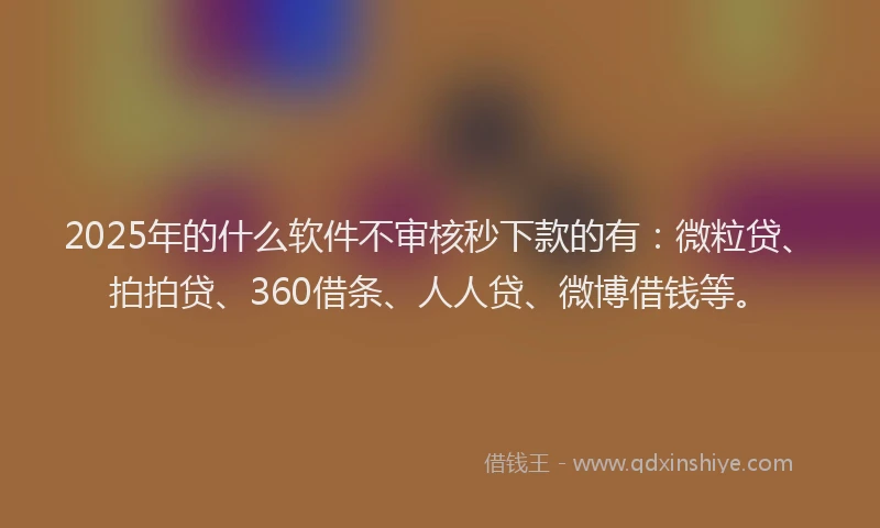 2025年的什么软件不审核秒下款的有：微粒贷、拍拍贷、360借条、人人贷、微博借钱等。