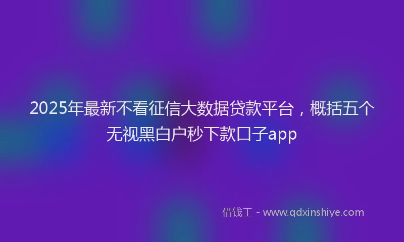 2025年最新不看征信大数据贷款平台，概括五个无视黑白户秒下款口子app