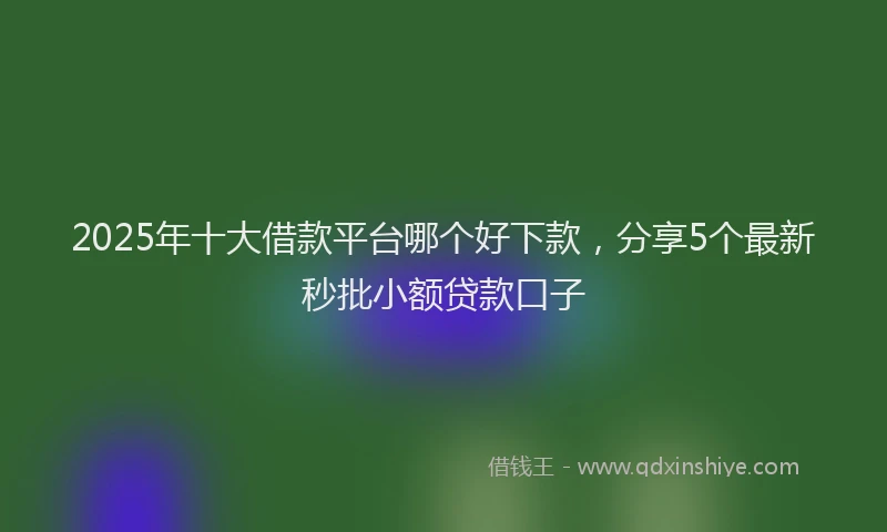 2025年十大借款平台哪个好下款，分享5个最新秒批小额贷款口子