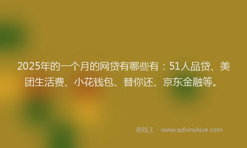 2025年的一个月的网贷有哪些有：51人品贷、美团生活费、小花钱包、替你还、京东金融等。