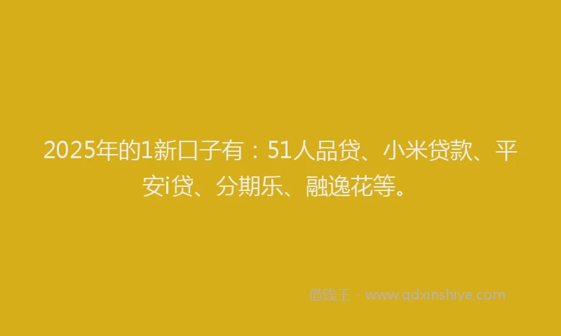 2025年的1新口子有：51人品贷、小米贷款、平安i贷、分期乐、融逸花等。