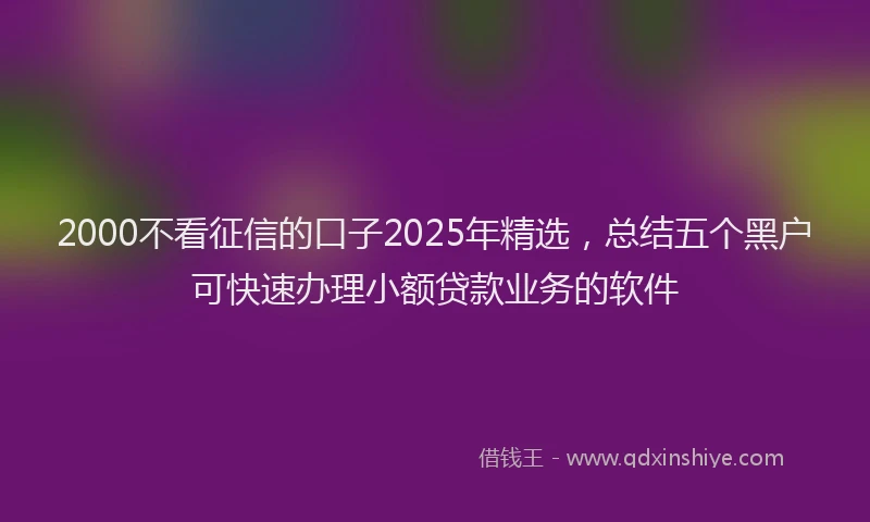 2000不看征信的口子2025年精选，总结五个黑户可快速办理小额贷款业务的软件