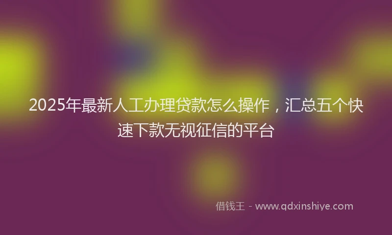 2025年最新人工办理贷款怎么操作，汇总五个快速下款无视征信的平台