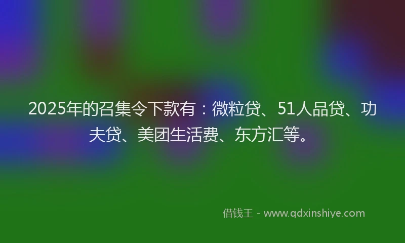 2025年的召集令下款有：微粒贷、51人品贷、功夫贷、美团生活费、东方汇等。