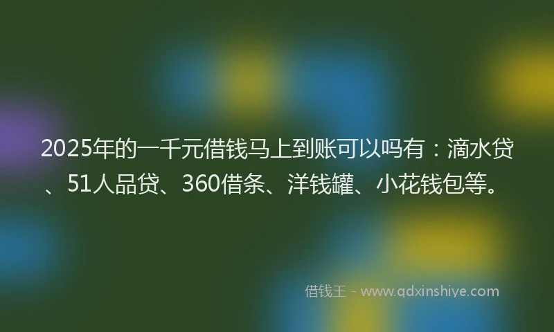 2025年的一千元借钱马上到账可以吗有：滴水贷、51人品贷、360借条、洋钱罐、小花钱包等。
