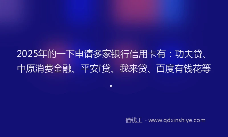 2025年的一下申请多家银行信用卡有：功夫贷、中原消费金融、平安i贷、我来贷、百度有钱花等。