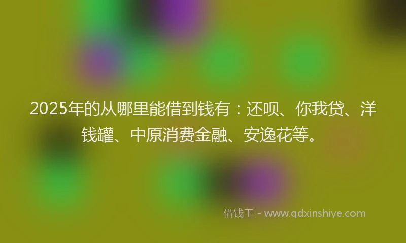 2025年的从哪里能借到钱有：还呗、你我贷、洋钱罐、中原消费金融、安逸花等。