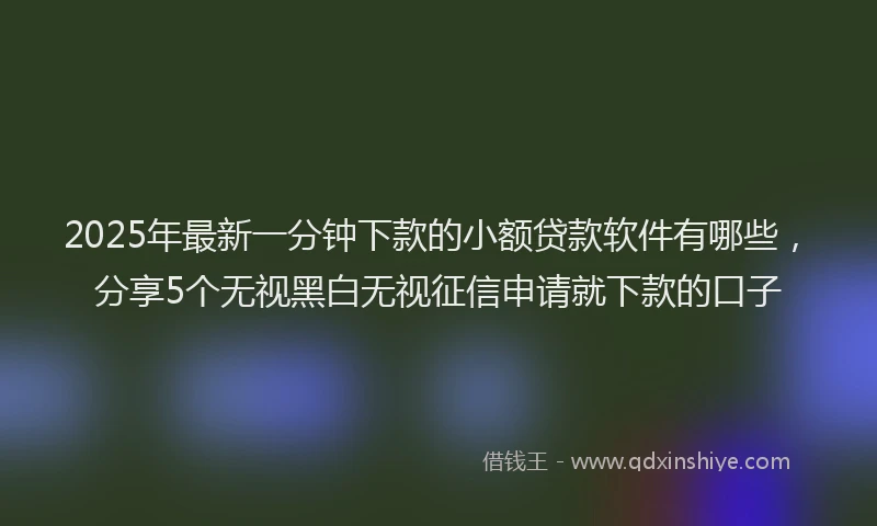 2025年最新一分钟下款的小额贷款软件有哪些，分享5个无视黑白无视征信申请就下款的口子