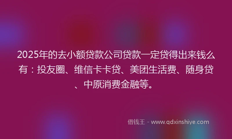 2025年的去小额贷款公司贷款一定贷得出来钱么有：投友圈、维信卡卡贷、美团生活费、随身贷、中原消费金融等。
