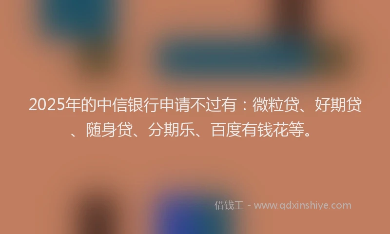 2025年的中信银行申请不过有：微粒贷、好期贷、随身贷、分期乐、百度有钱花等。