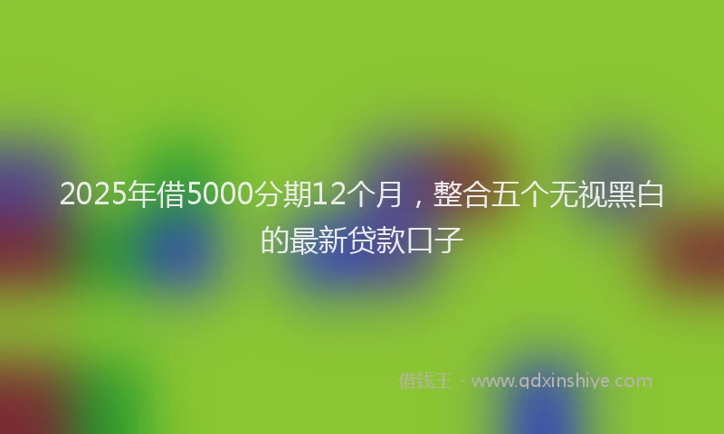 2025年借5000分期12个月，整合五个无视黑白的最新贷款口子