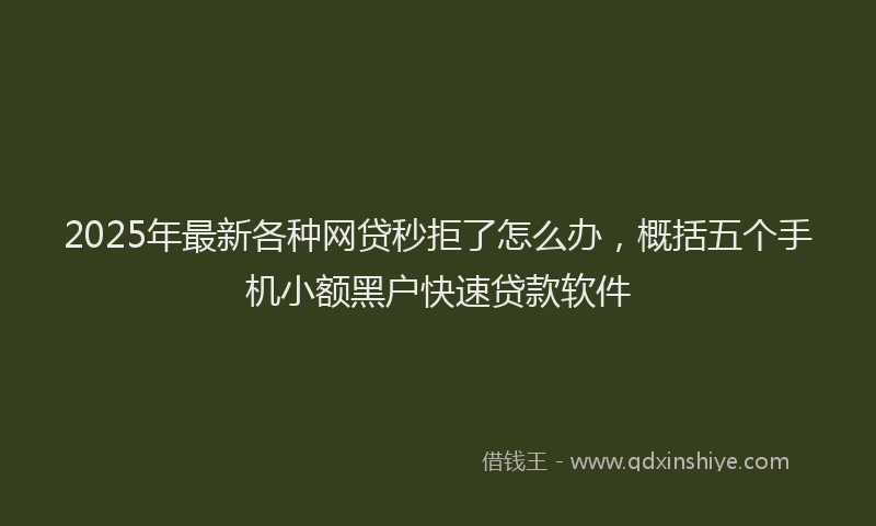 2025年最新各种网贷秒拒了怎么办，概括五个手机小额黑户快速贷款软件
