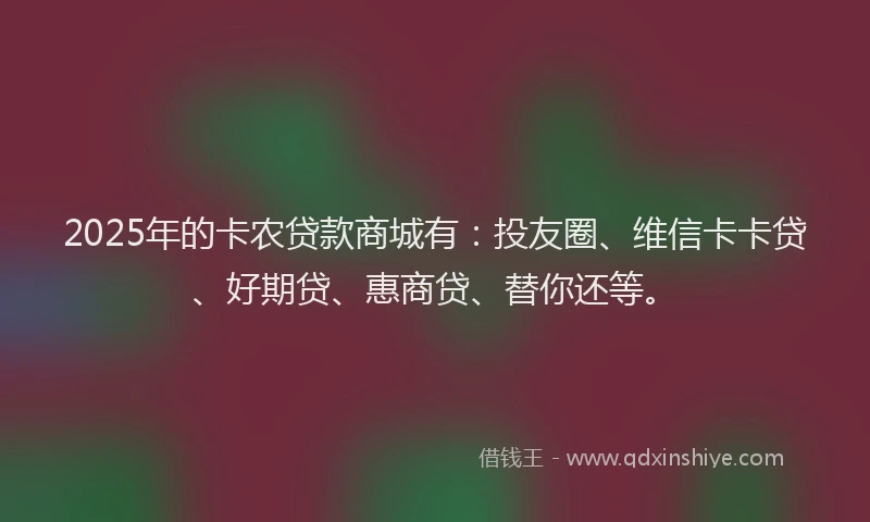 2025年的卡农贷款商城有：投友圈、维信卡卡贷、好期贷、惠商贷、替你还等。