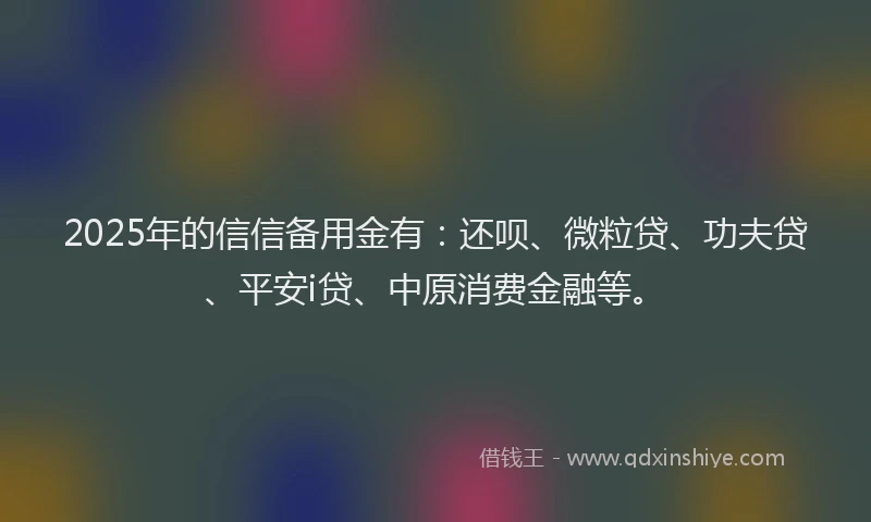 2025年的信信备用金有：还呗、微粒贷、功夫贷、平安i贷、中原消费金融等。