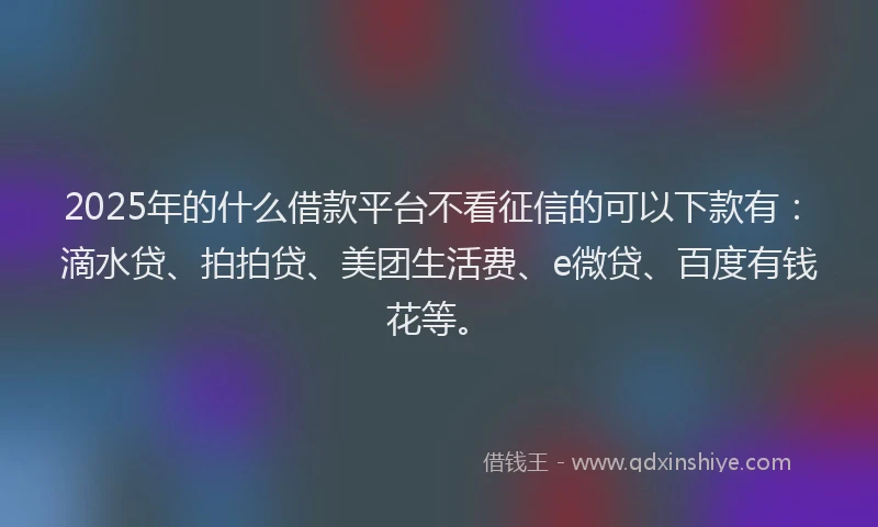2025年的什么借款平台不看征信的可以下款有：滴水贷、拍拍贷、美团生活费、e微贷、百度有钱花等。