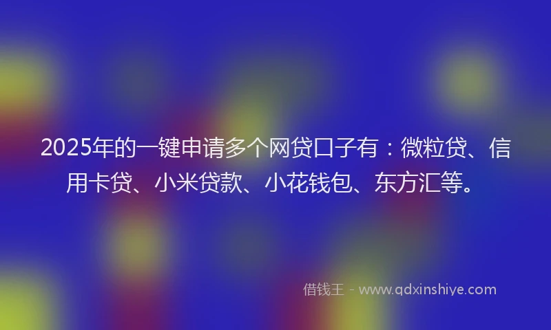 2025年的一键申请多个网贷口子有：微粒贷、信用卡贷、小米贷款、小花钱包、东方汇等。