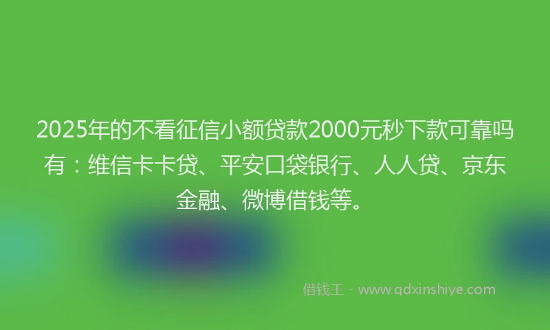2025年的不看征信小额贷款2000元秒下款可靠吗有：维信卡卡贷、平安口袋银行、人人贷、京东金融、微博借钱等。