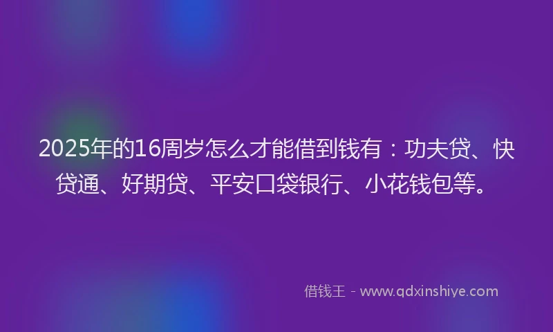 2025年的16周岁怎么才能借到钱有：功夫贷、快贷通、好期贷、平安口袋银行、小花钱包等。