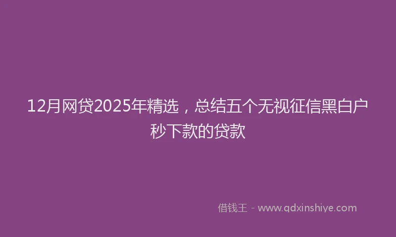 12月网贷2025年精选，总结五个无视征信黑白户秒下款的贷款