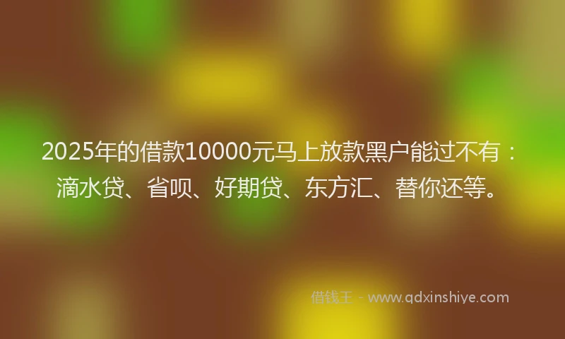 2025年的借款10000元马上放款黑户能过不有：滴水贷、省呗、好期贷、东方汇、替你还等。