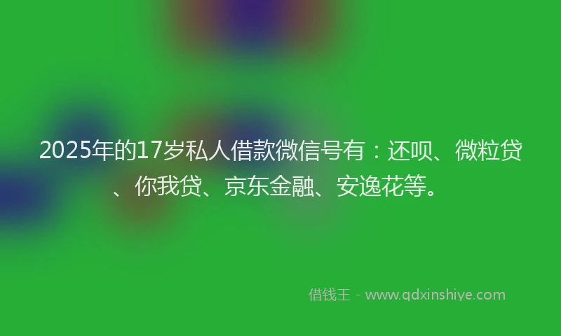 2025年的17岁私人借款微信号有：还呗、微粒贷、你我贷、京东金融、安逸花等。