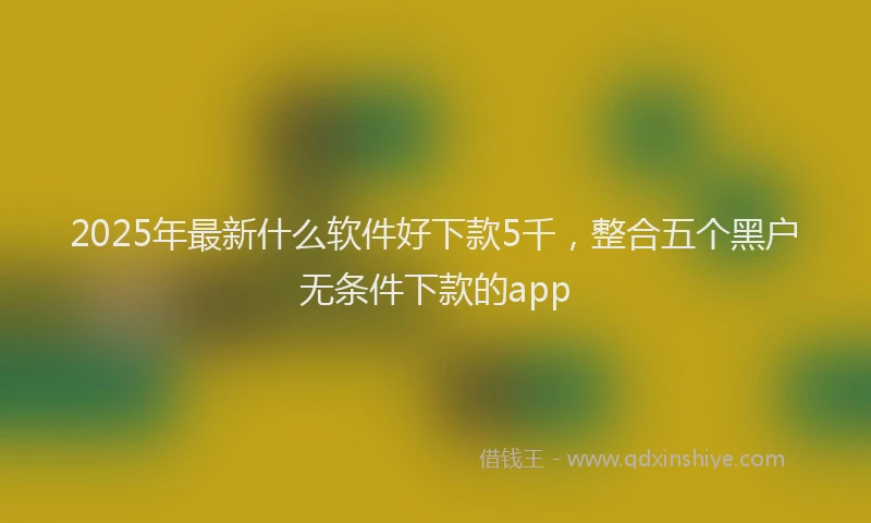 2025年最新什么软件好下款5千，整合五个黑户无条件下款的app