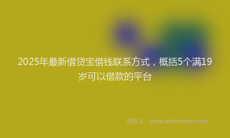 2025年最新借贷宝借钱联系方式，概括5个满19岁可以借款的平台