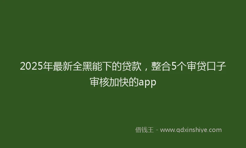 2025年最新全黑能下的贷款，整合5个审贷口子审核加快的app