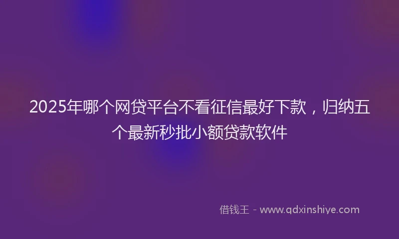 2025年哪个网贷平台不看征信最好下款，归纳五个最新秒批小额贷款软件