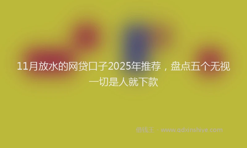 11月放水的网贷口子2025年推荐，盘点五个无视一切是人就下款