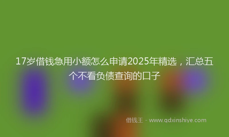 17岁借钱急用小额怎么申请2025年精选，汇总五个不看负债查询的口子
