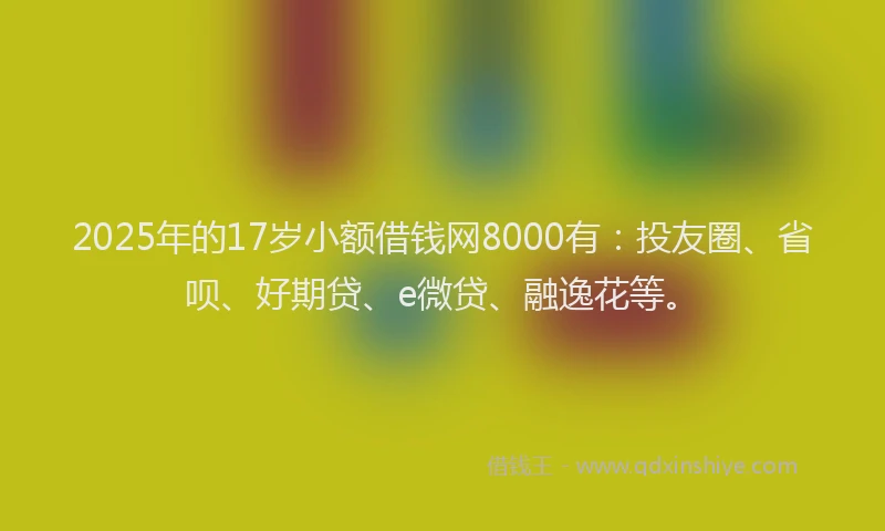 2025年的17岁小额借钱网8000有：投友圈、省呗、好期贷、e微贷、融逸花等。