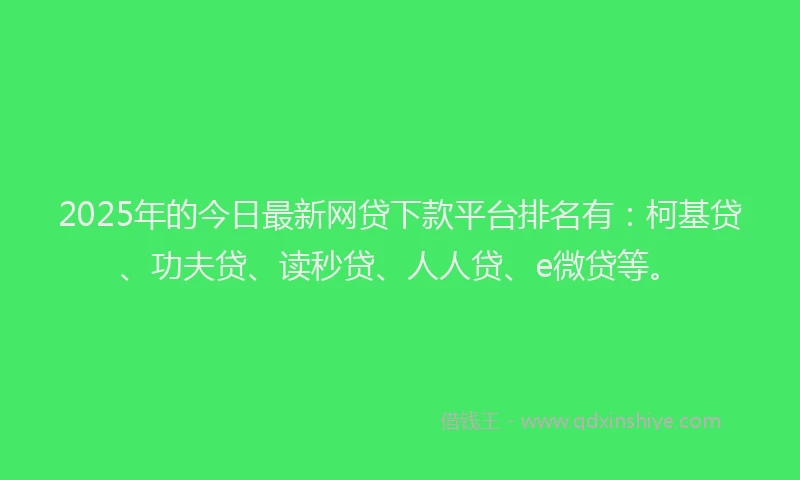 2025年的今日最新网贷下款平台排名有：柯基贷、功夫贷、读秒贷、人人贷、e微贷等。