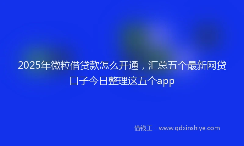 2025年微粒借贷款怎么开通，汇总五个最新网贷口子今日整理这五个app