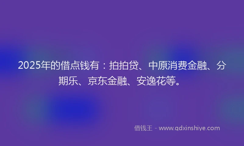 2025年的借点钱有：拍拍贷、中原消费金融、分期乐、京东金融、安逸花等。
