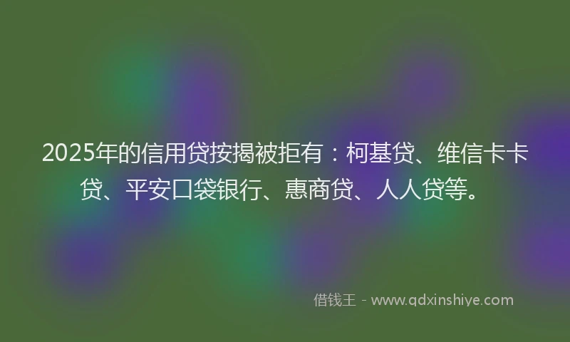 2025年的信用贷按揭被拒有：柯基贷、维信卡卡贷、平安口袋银行、惠商贷、人人贷等。