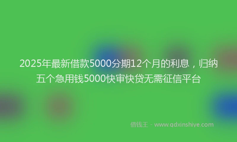 2025年最新借款5000分期12个月的利息，归纳五个急用钱5000快审快贷无需征信平台