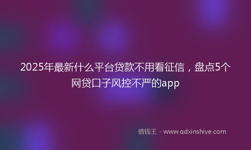 2025年最新什么平台贷款不用看征信，盘点5个网贷口子风控不严的app