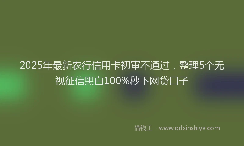 2025年最新农行信用卡初审不通过，整理5个无视征信黑白100%秒下网贷口子