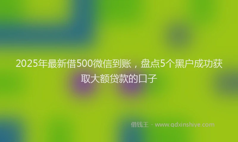 2025年最新借500微信到账，盘点5个黑户成功获取大额贷款的口子