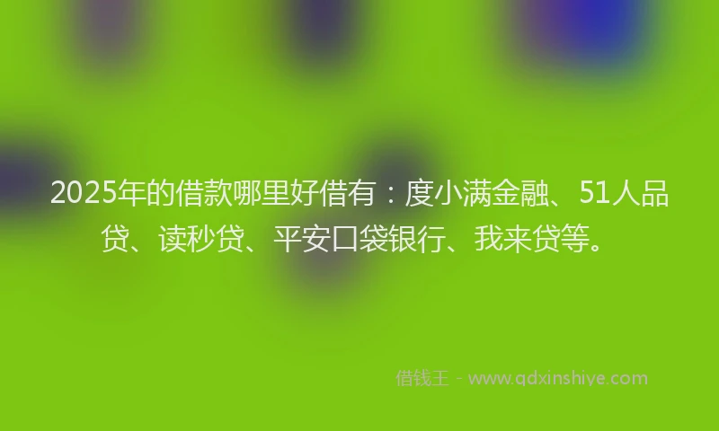 2025年的借款哪里好借有：度小满金融、51人品贷、读秒贷、平安口袋银行、我来贷等。