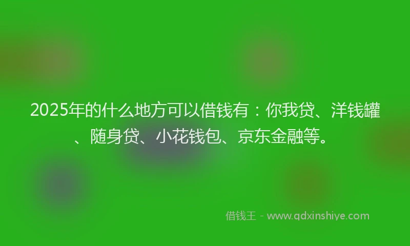 2025年的什么地方可以借钱有：你我贷、洋钱罐、随身贷、小花钱包、京东金融等。