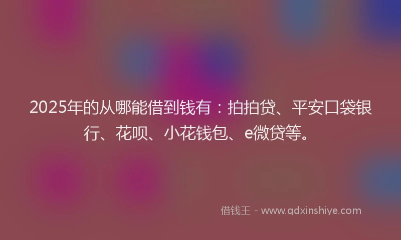 2025年的从哪能借到钱有：拍拍贷、平安口袋银行、花呗、小花钱包、e微贷等。